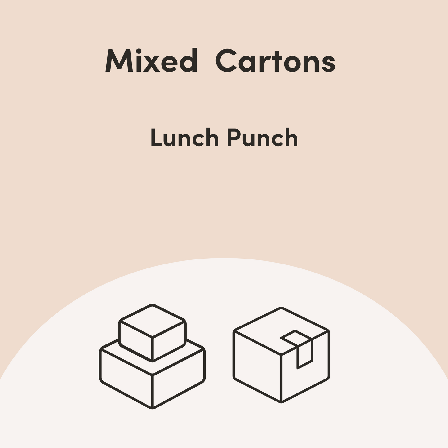 Lunch Punch Mixed Cartons - Accessories