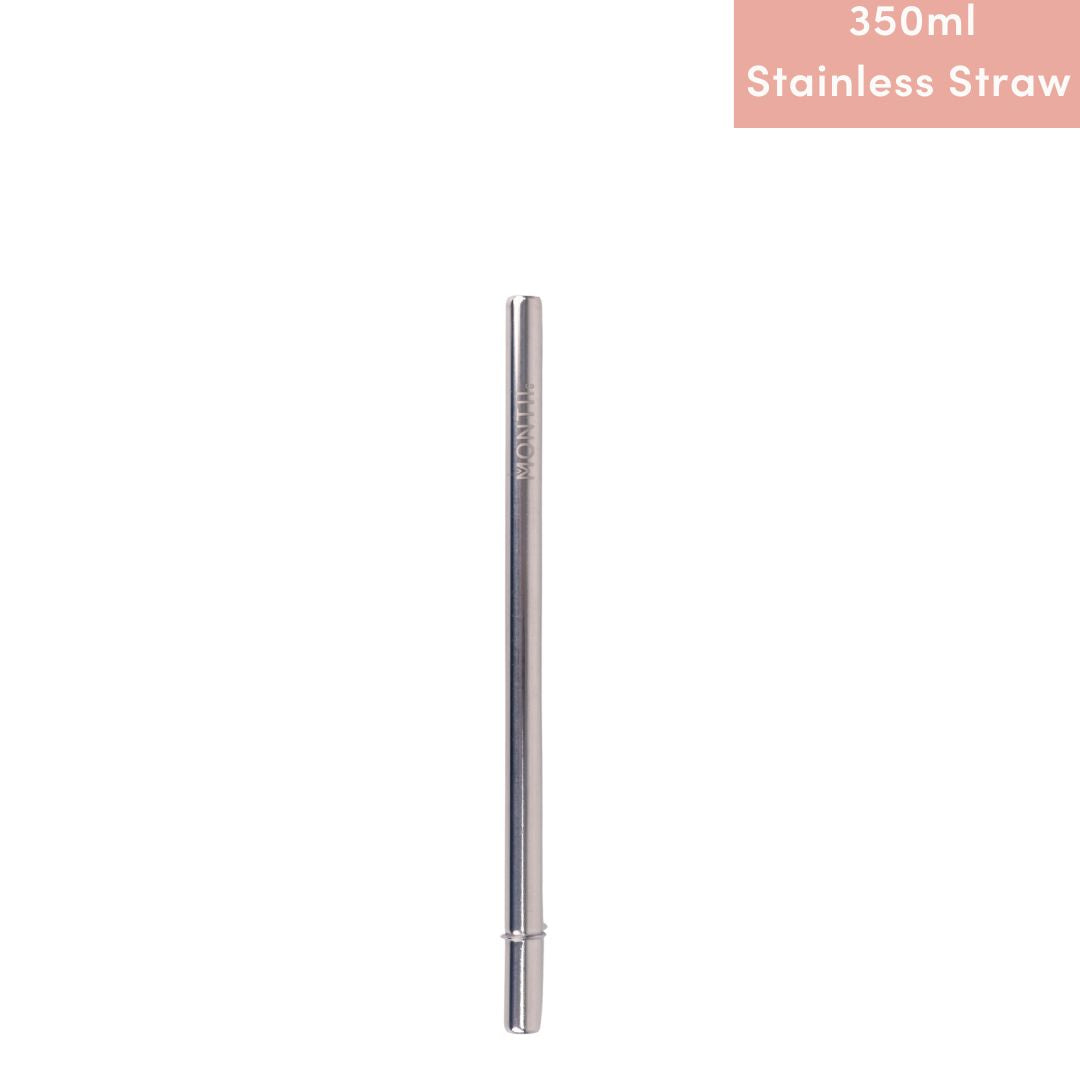 MontiiCo Smoothie Straw (Stainless Steel)