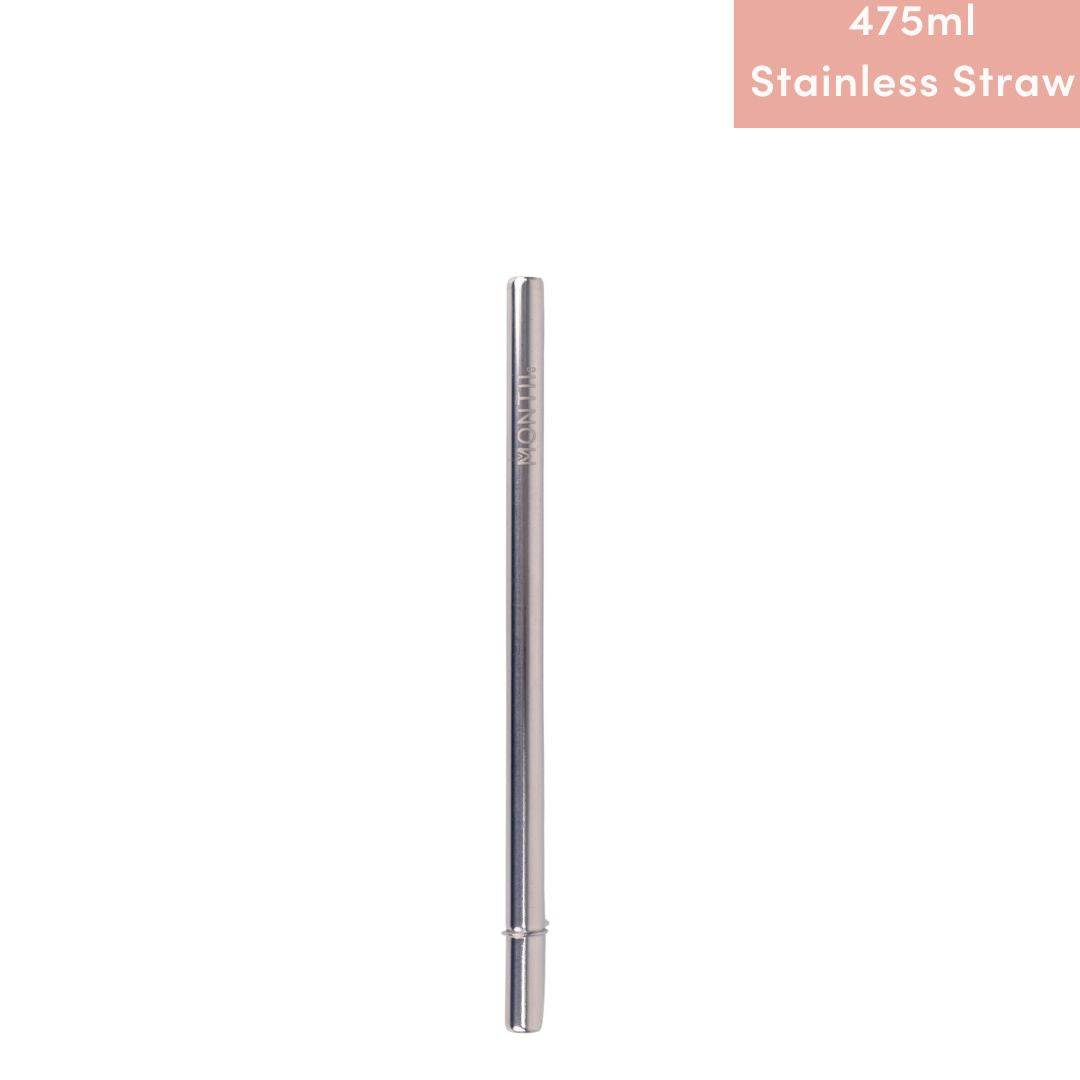 MontiiCo Smoothie Straw (Stainless Steel)