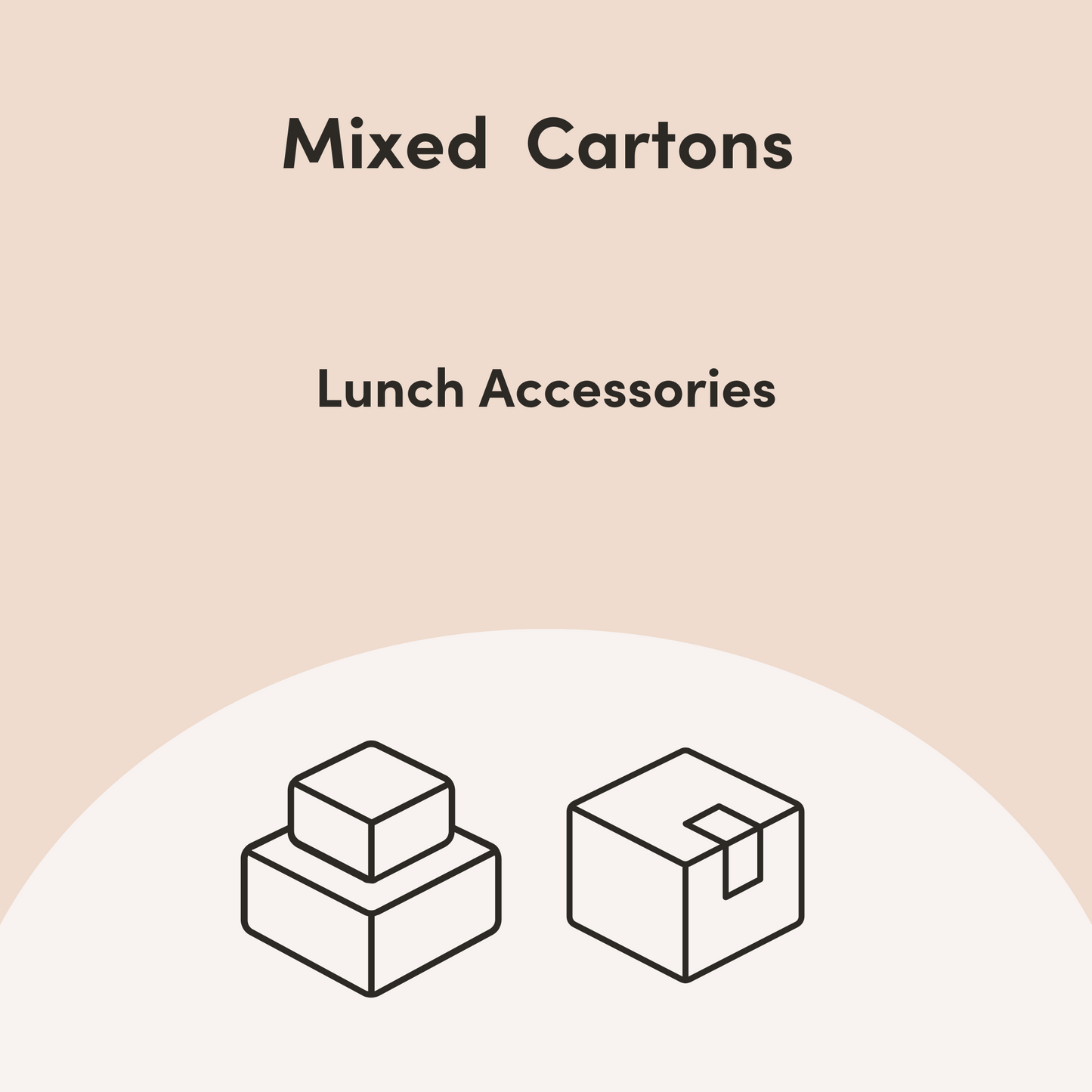 MontiiCo Mixed Cartons - Bento Box Accessories