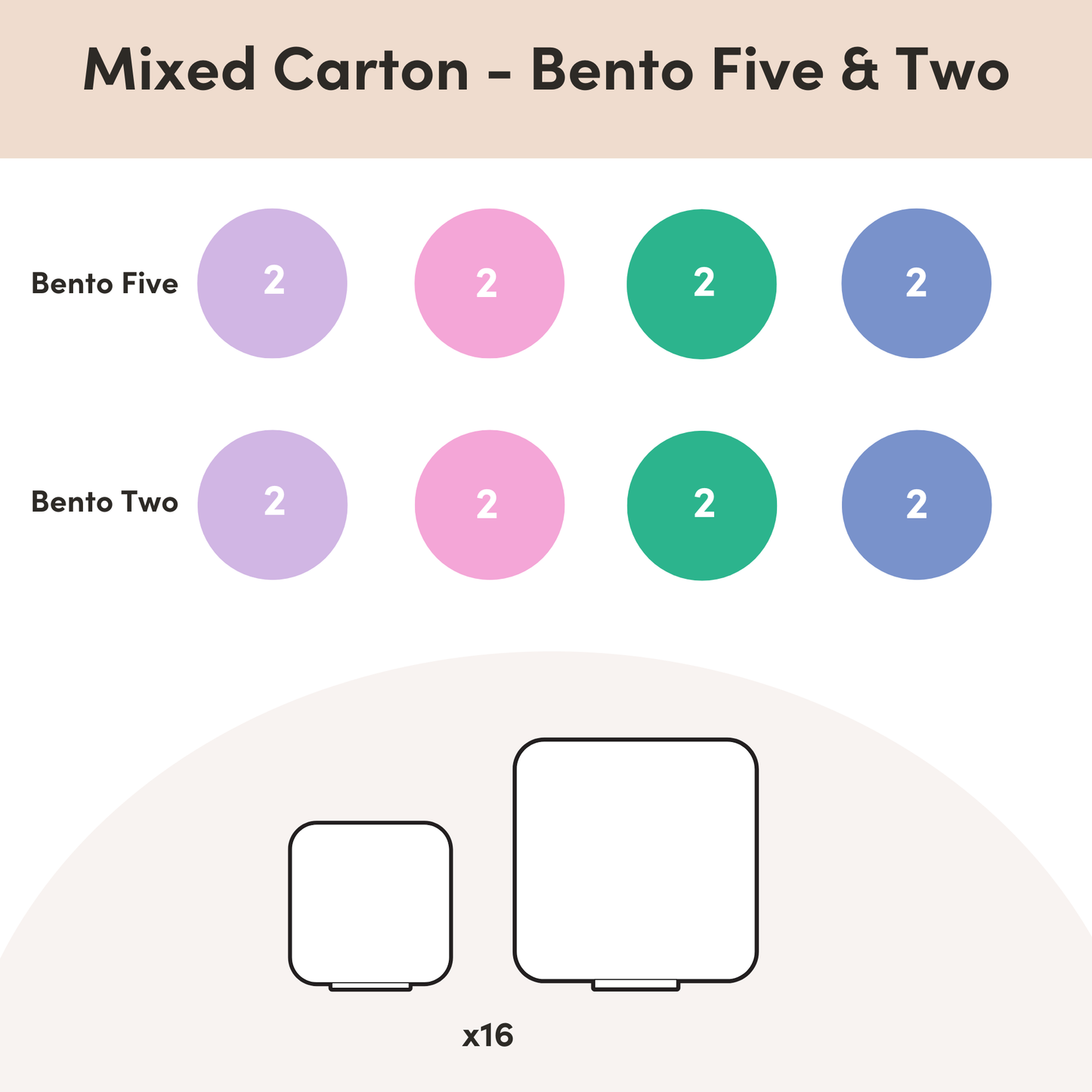 MontiiCo Mixed Cartons - Bento Boxes & Food Jars