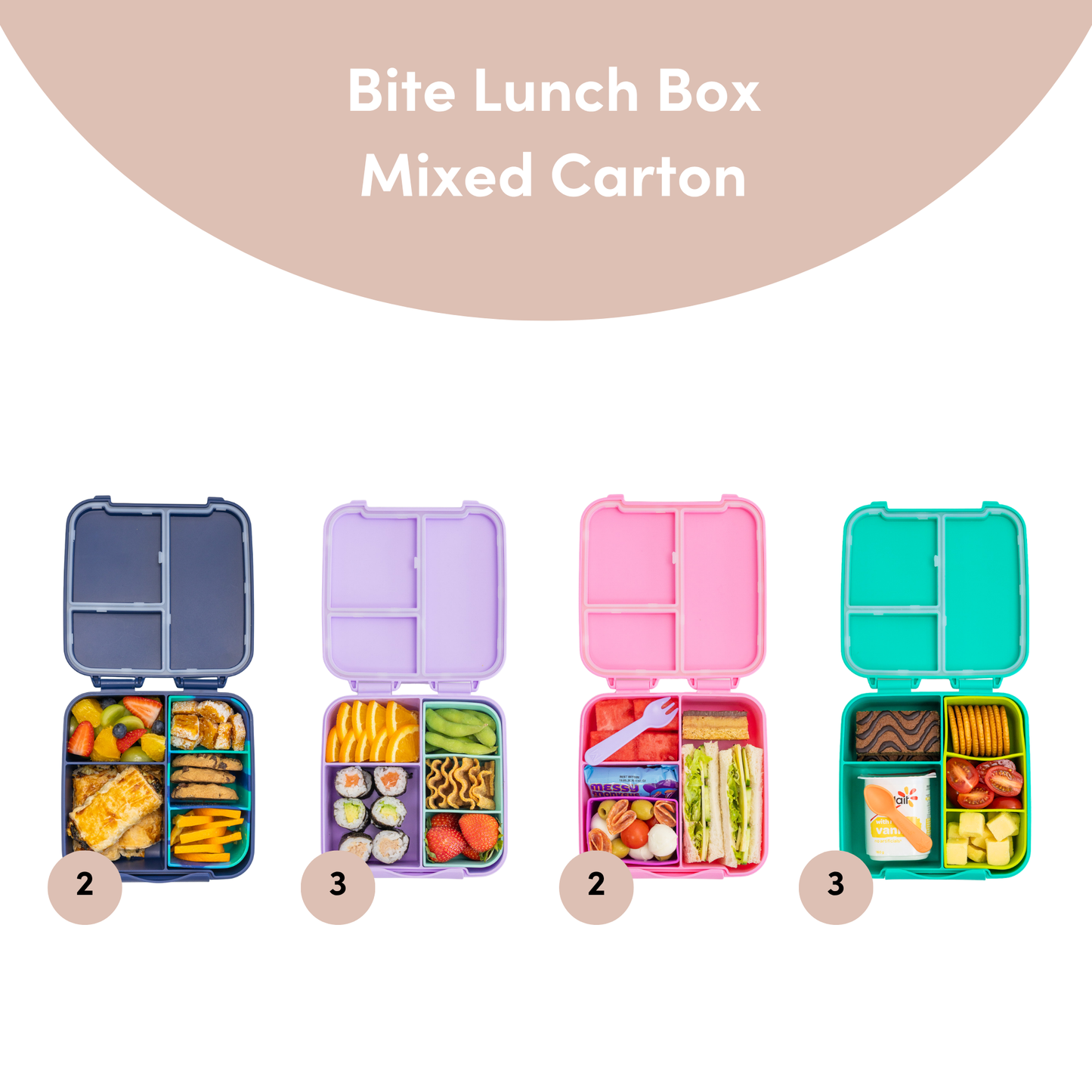 Mixed Cartons - Bento Boxes & Food Jars